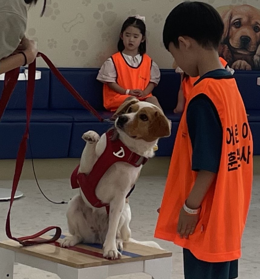 반려견 훈련교실.jpg