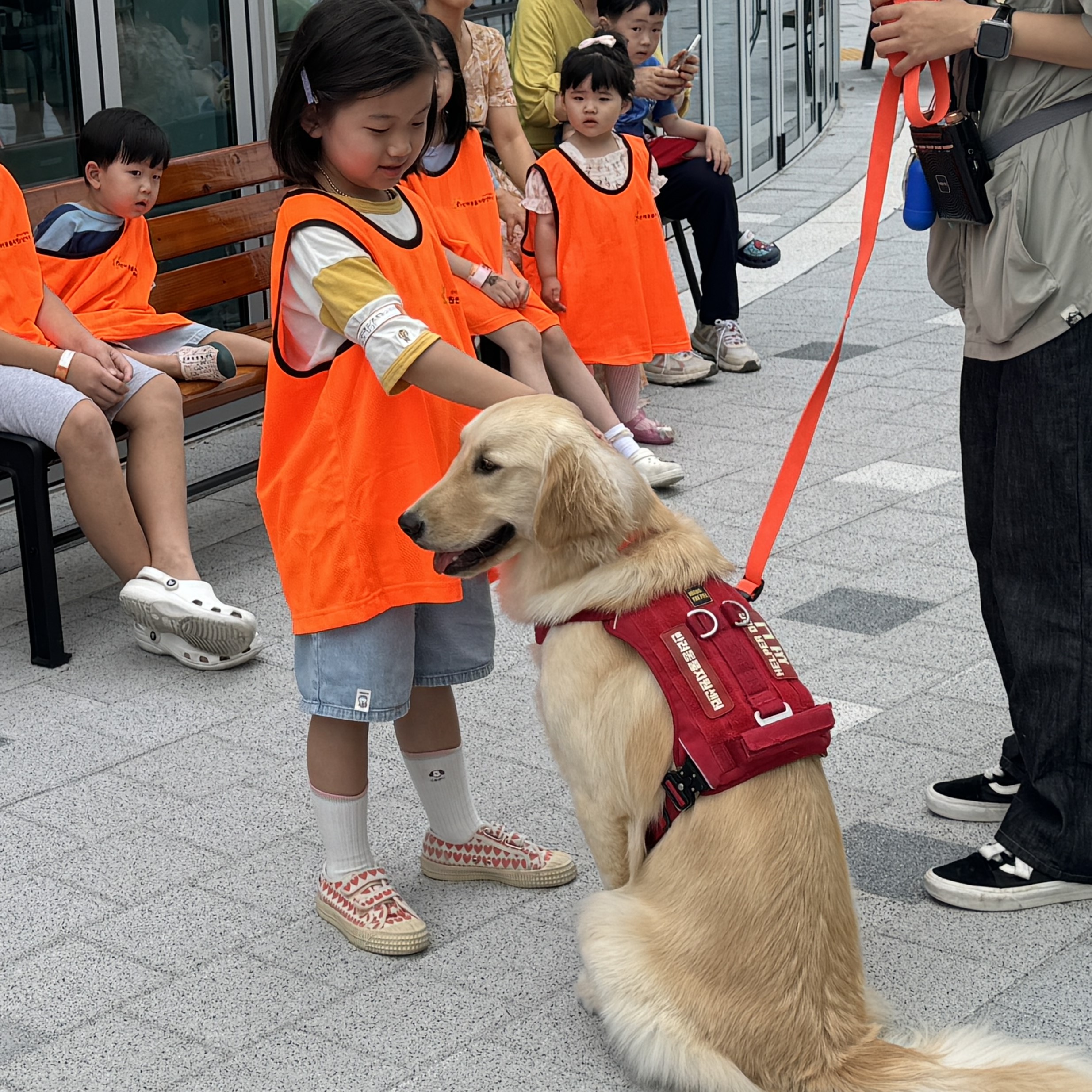 강아지 알아보기.jpg