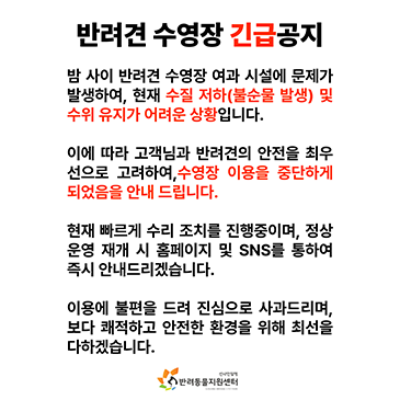 반려견 수영장 긴급공지